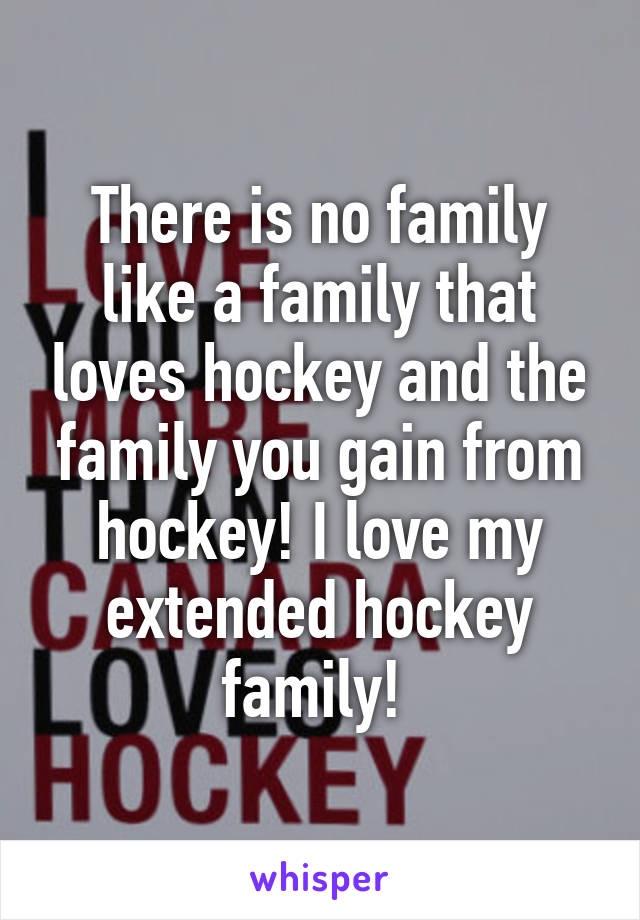 There is no family like a family that loves hockey and the family you gain from hockey! I love my extended hockey family! 