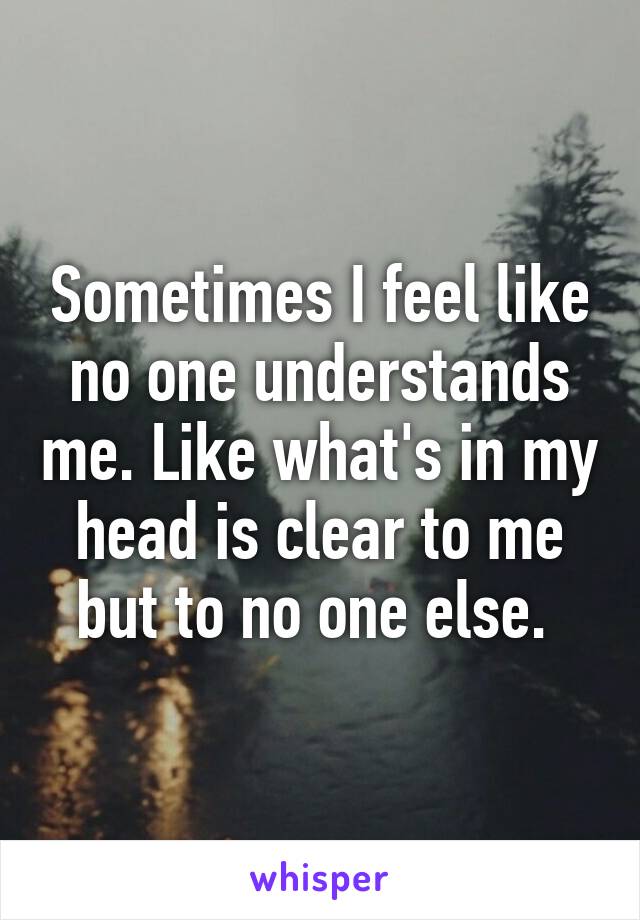 Sometimes I feel like no one understands me. Like what's in my head is clear to me but to no one else. 