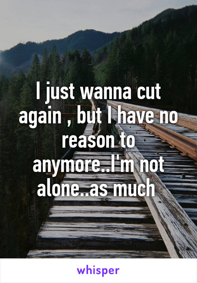 I just wanna cut again , but I have no reason to anymore..I'm not alone..as much 