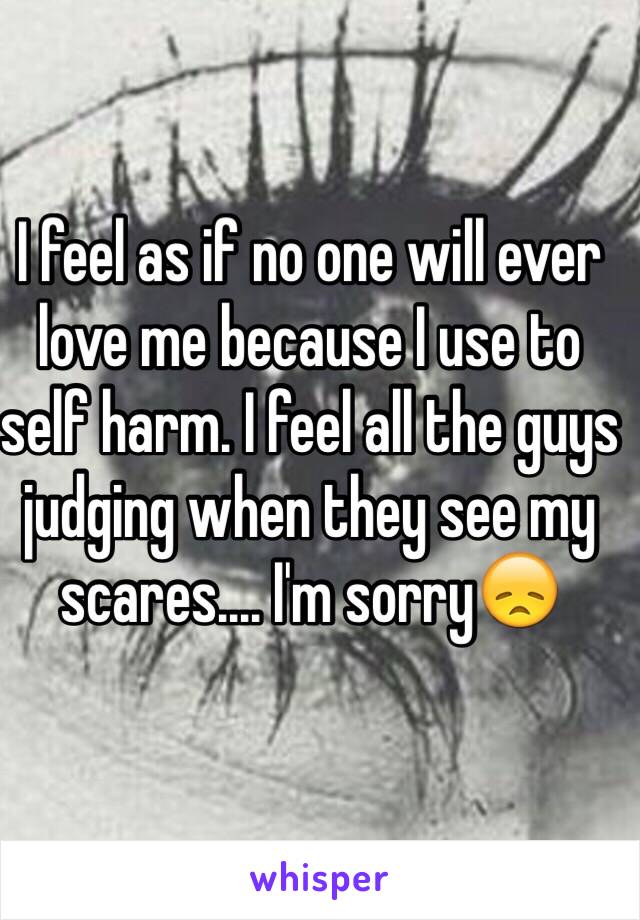 I feel as if no one will ever love me because I use to self harm. I feel all the guys judging when they see my scares.... I'm sorry😞