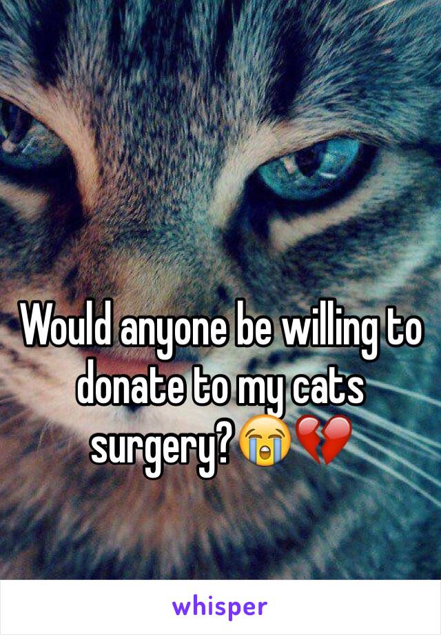 Would anyone be willing to donate to my cats surgery?😭💔