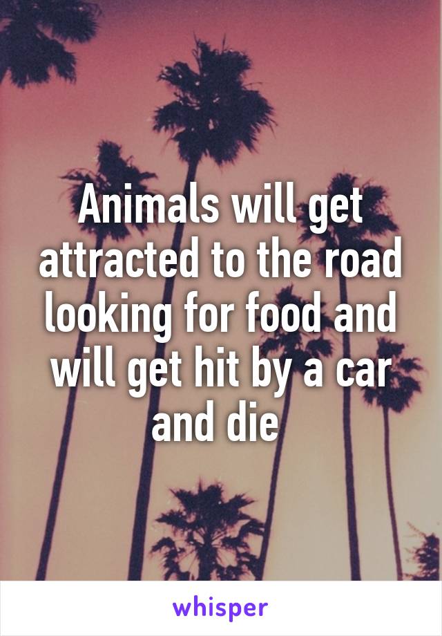 Animals will get attracted to the road looking for food and will get hit by a car and die 