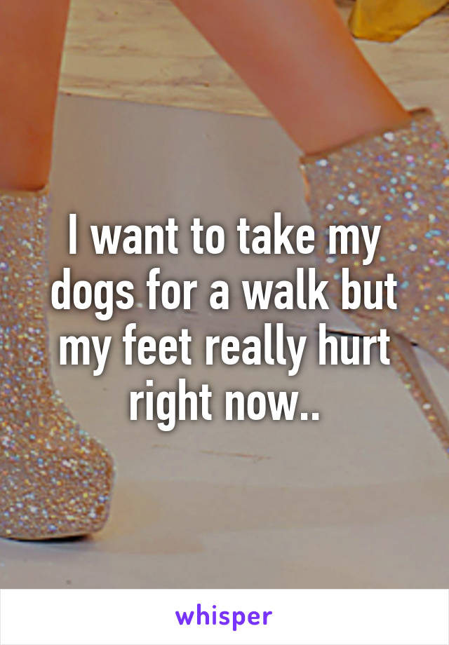 I want to take my dogs for a walk but my feet really hurt right now..