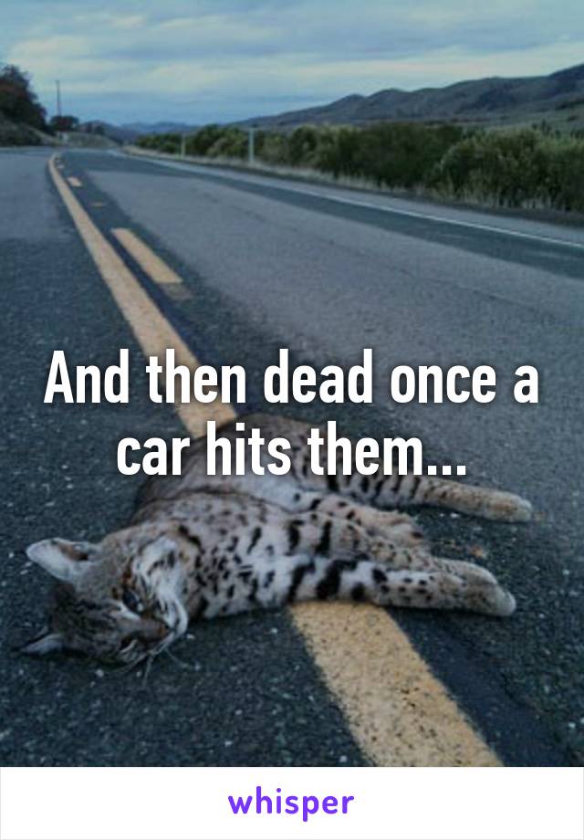 And then dead once a car hits them...