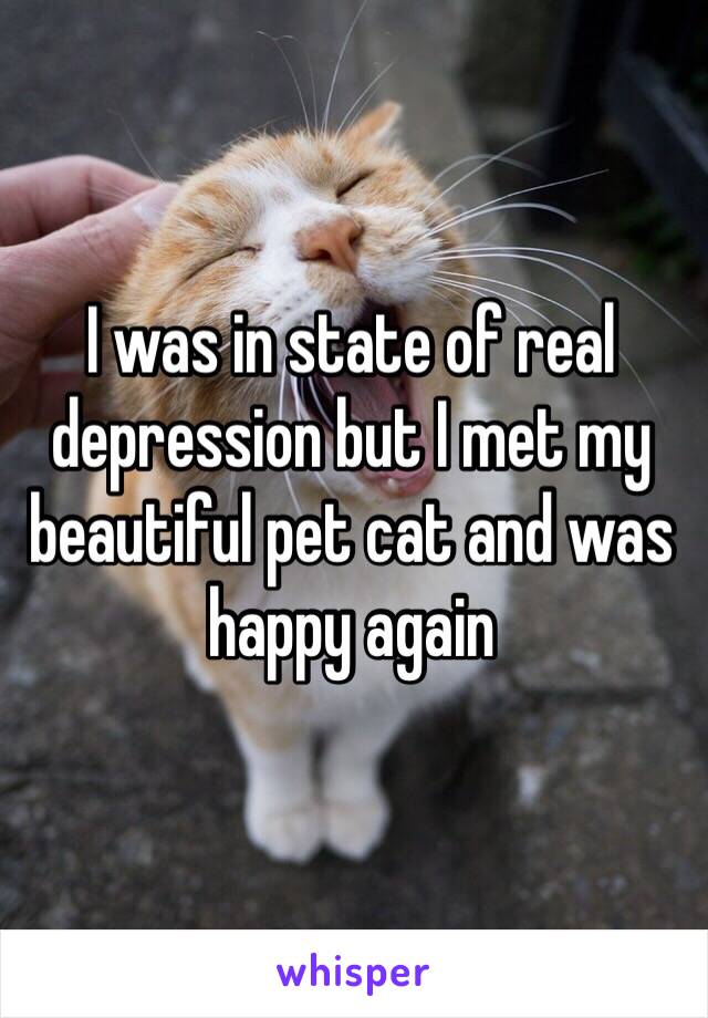 I was in state of real depression but I met my beautiful pet cat and was happy again