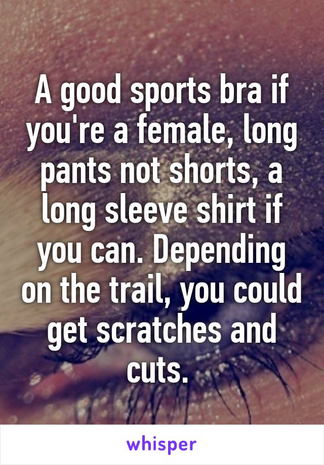A good sports bra if you're a female, long pants not shorts, a long sleeve shirt if you can. Depending on the trail, you could get scratches and cuts. 