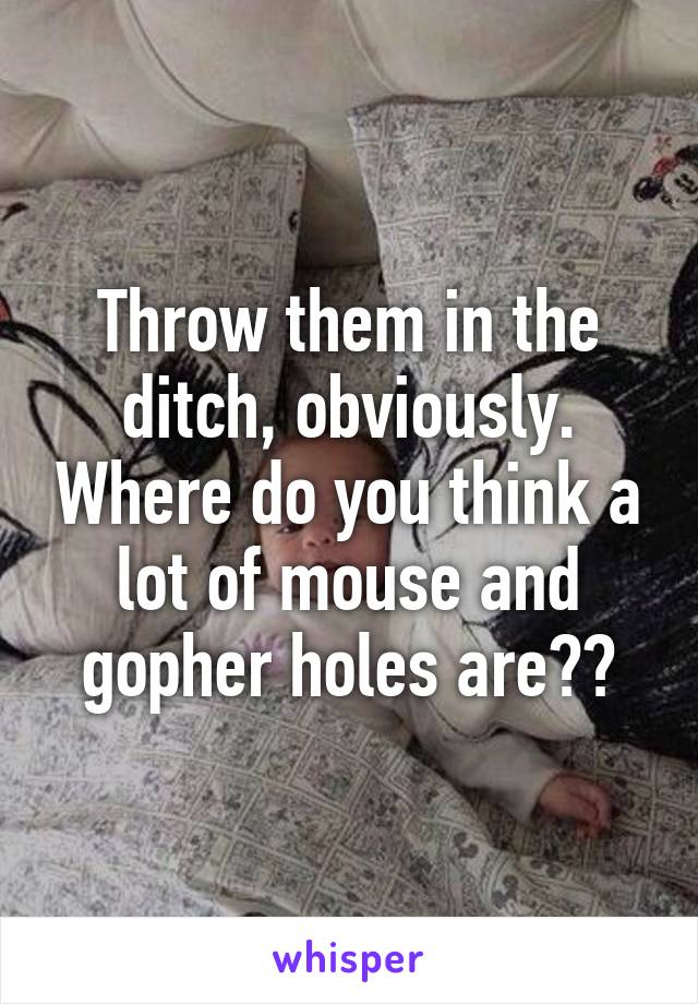 Throw them in the ditch, obviously. Where do you think a lot of mouse and gopher holes are??