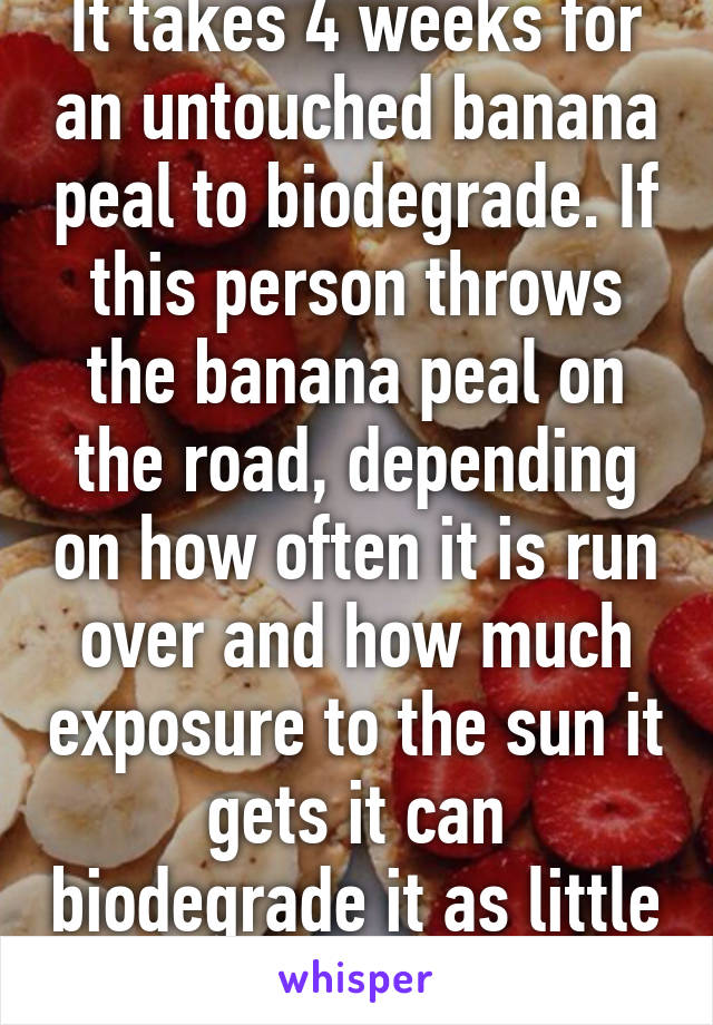 It takes 4 weeks for an untouched banana peal to biodegrade. If this person throws the banana peal on the road, depending on how often it is run over and how much exposure to the sun it gets it can biodegrade it as little as 10 days.  