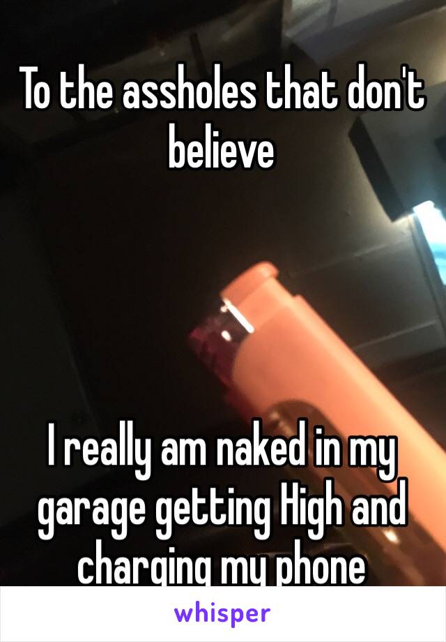 To the assholes that don't believe 




I really am naked in my garage getting High and charging my phone 