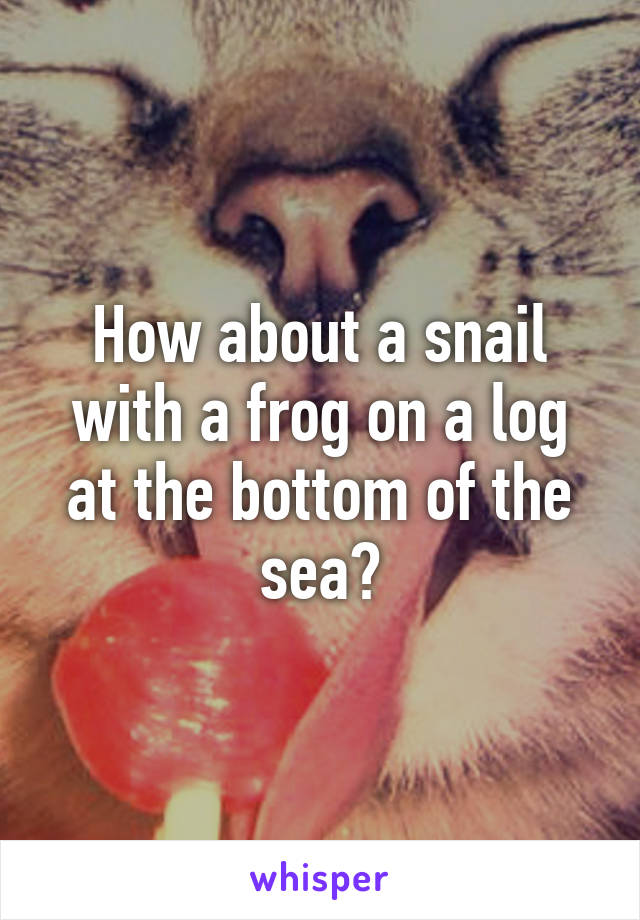 How about a snail with a frog on a log at the bottom of the sea?