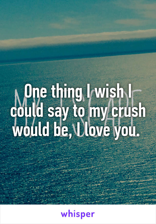One thing I wish I could say to my crush would be, I love you. 