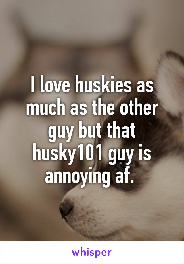 I love huskies as much as the other guy but that husky101 guy is annoying af. 