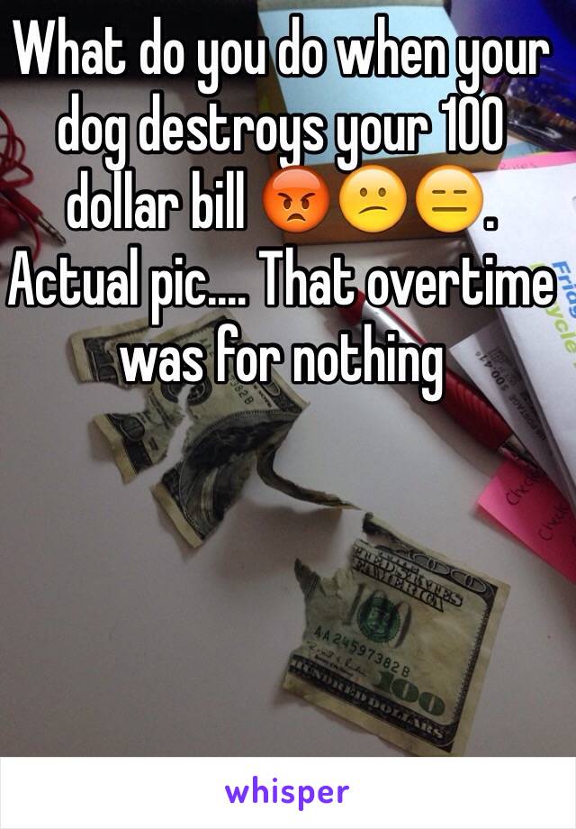 What do you do when your dog destroys your 100 dollar bill 😡😕😑. Actual pic.... That overtime was for nothing 