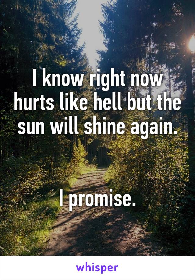 I know right now hurts like hell but the sun will shine again.


I promise.