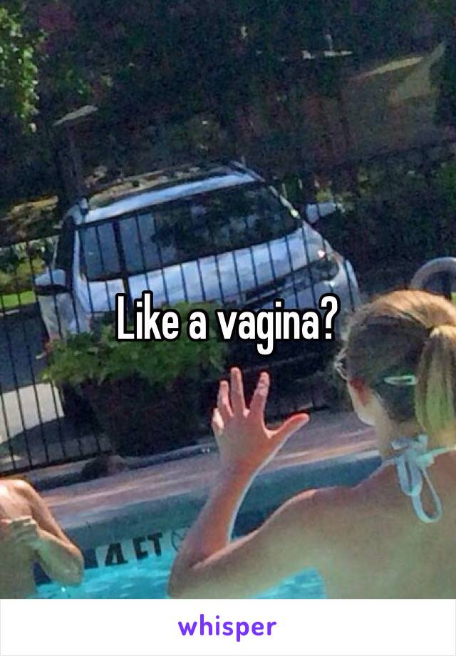 Like a vagina?