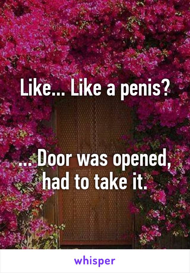 Like... Like a penis?


... Door was opened, had to take it.