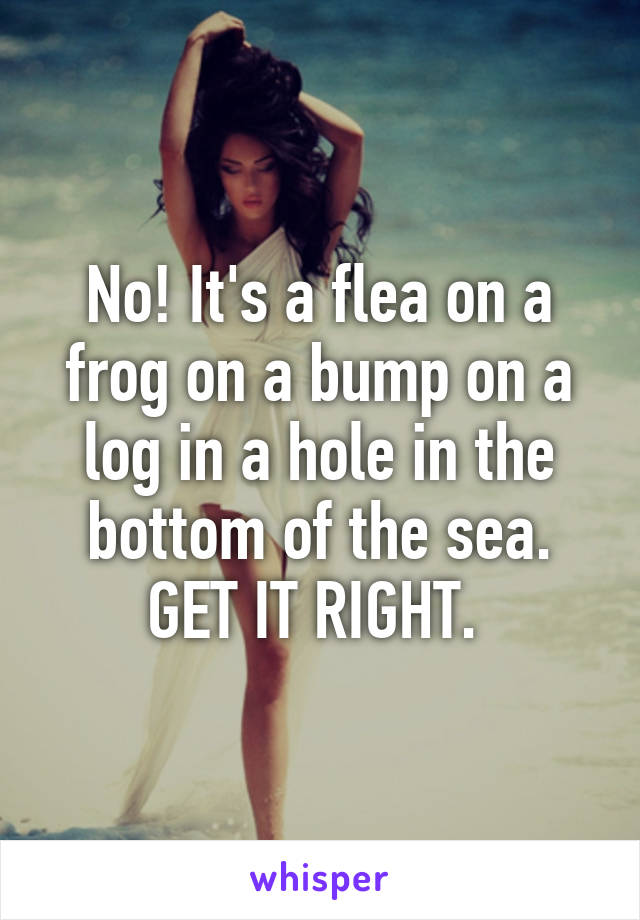 No! It's a flea on a frog on a bump on a log in a hole in the bottom of the sea. GET IT RIGHT. 