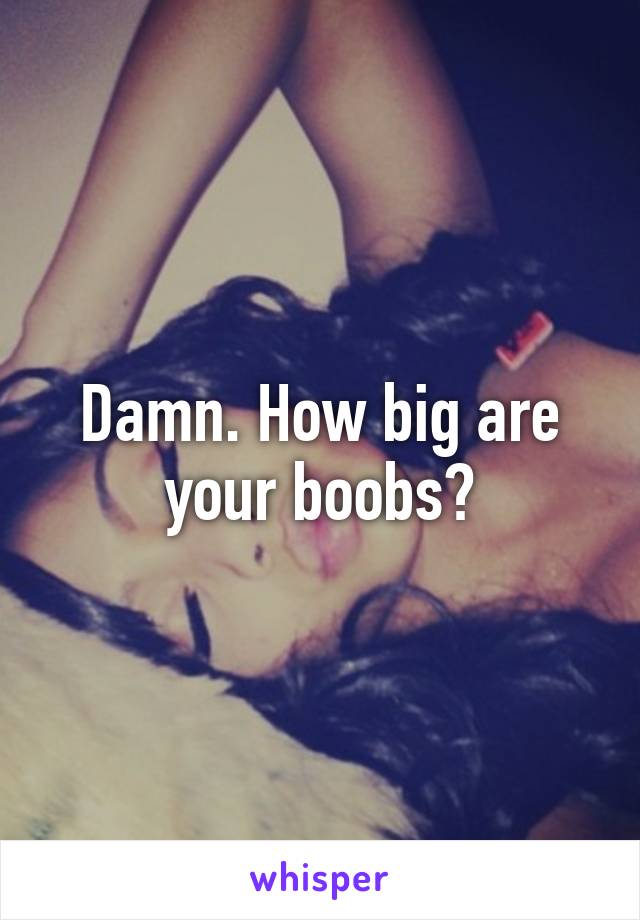 Damn. How big are your boobs?