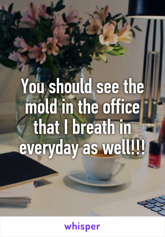 You should see the mold in the office that I breath in everyday as well!!!