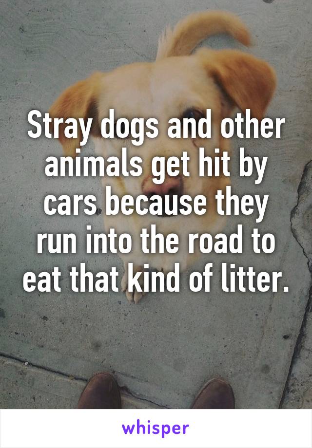 Stray dogs and other animals get hit by cars because they run into the road to eat that kind of litter. 