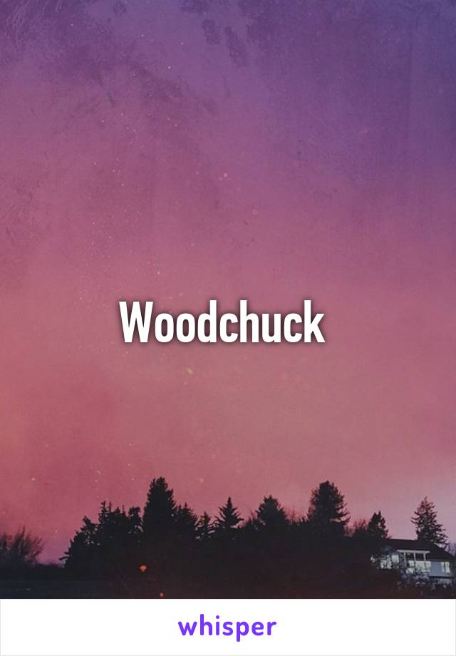 Woodchuck 