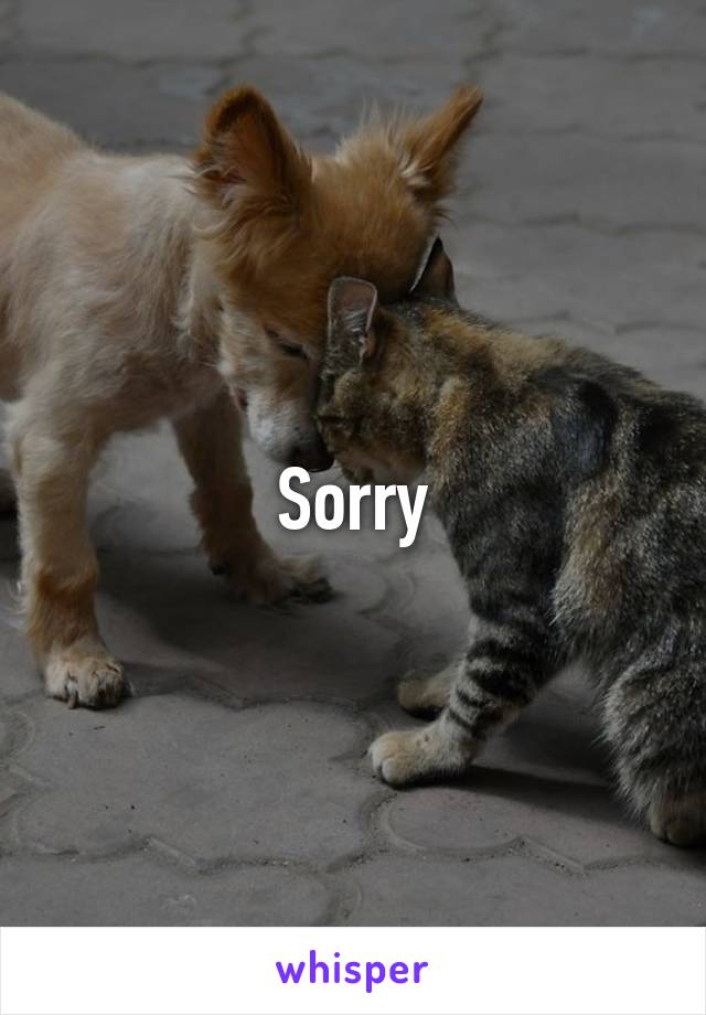 Sorry