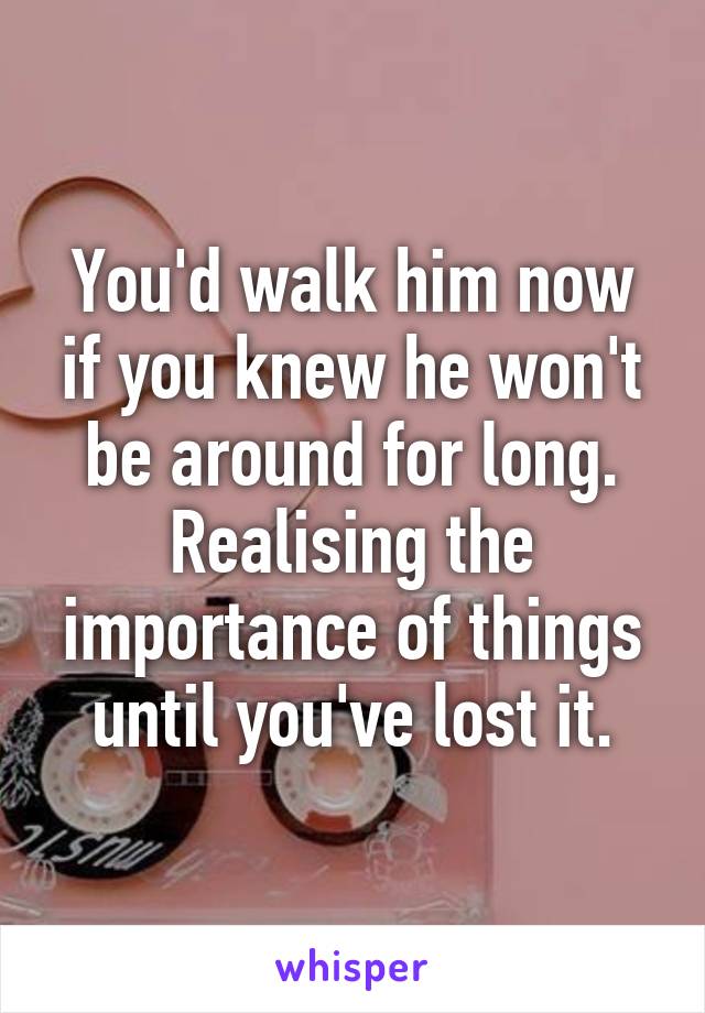 You'd walk him now if you knew he won't be around for long. Realising the importance of things until you've lost it.