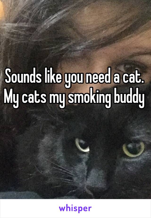 Sounds like you need a cat. My cats my smoking buddy 