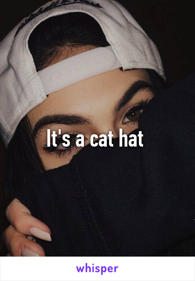It's a cat hat 