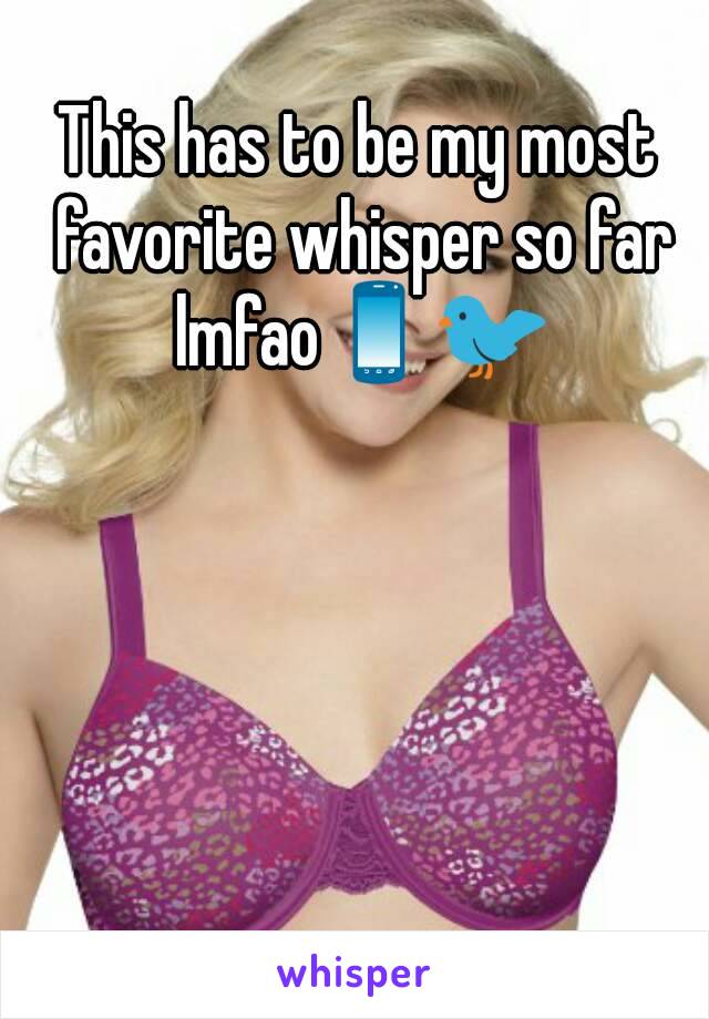 This has to be my most favorite whisper so far lmfao📱🐦