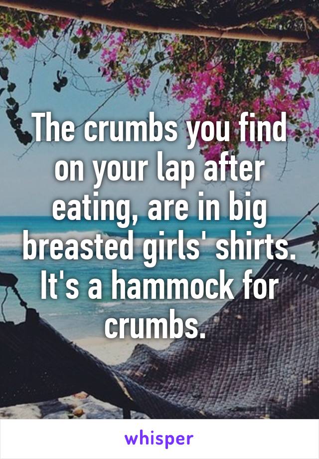 The crumbs you find on your lap after eating, are in big breasted girls' shirts. It's a hammock for crumbs. 