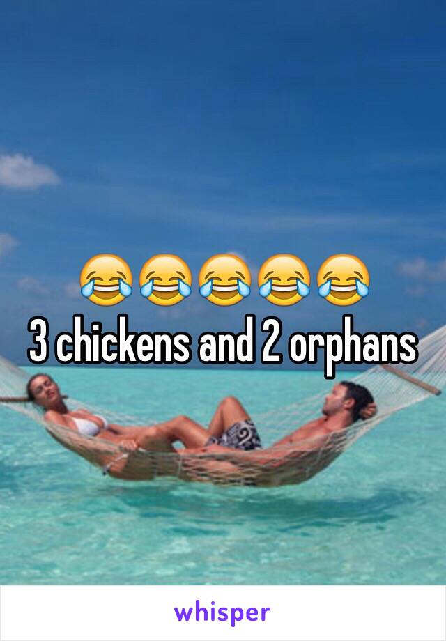 😂😂😂😂😂
3 chickens and 2 orphans