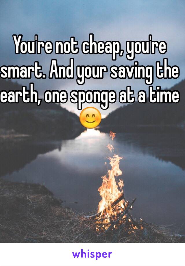 You're not cheap, you're smart. And your saving the earth, one sponge at a time 😊