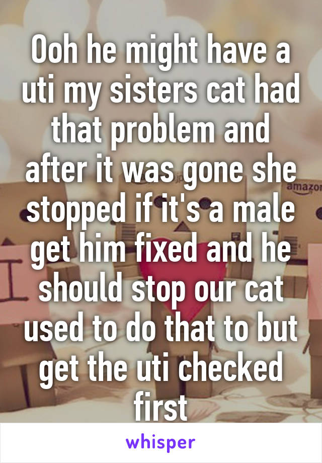 Ooh he might have a uti my sisters cat had that problem and after it was gone she stopped if it's a male get him fixed and he should stop our cat used to do that to but get the uti checked first