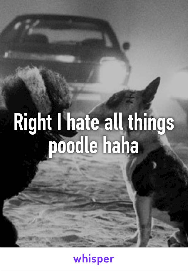 Right I hate all things poodle haha