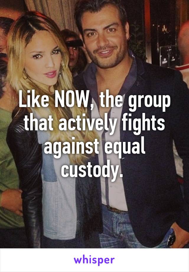 Like NOW, the group that actively fights against equal custody. 