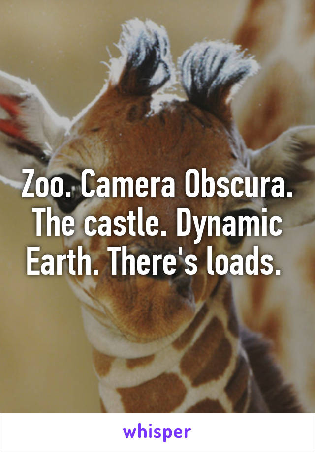 Zoo. Camera Obscura. The castle. Dynamic Earth. There's loads. 