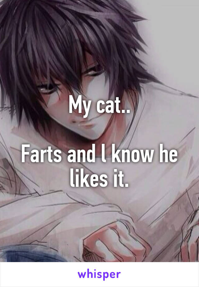 My cat..

Farts and l know he likes it.