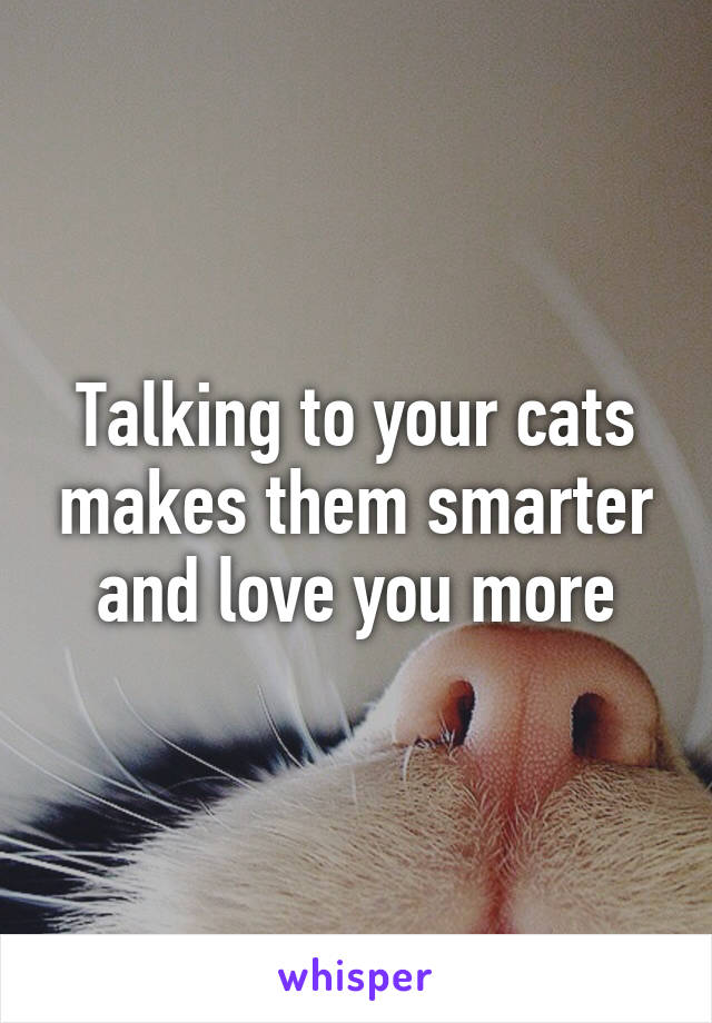 Talking to your cats makes them smarter and love you more