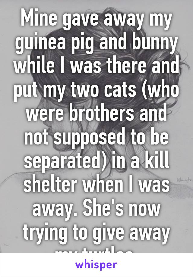 Mine gave away my guinea pig and bunny while I was there and put my two cats (who were brothers and not supposed to be separated) in a kill shelter when I was away. She's now trying to give away my turtles.