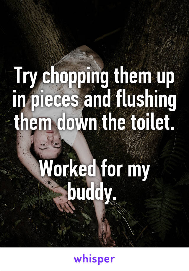 Try chopping them up in pieces and flushing them down the toilet.

Worked for my buddy. 