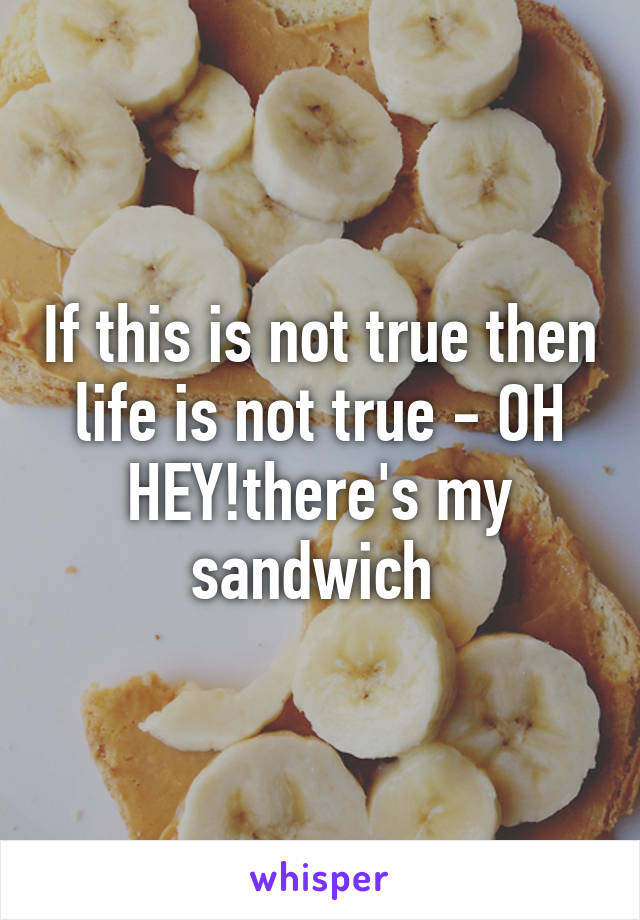 If this is not true then life is not true - OH HEY!there's my sandwich 