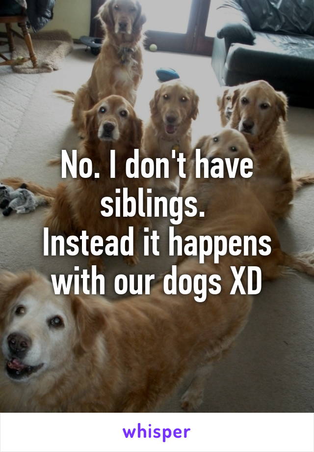 No. I don't have siblings. 
Instead it happens with our dogs XD