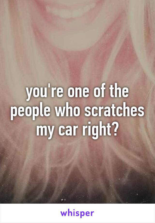 you're one of the people who scratches my car right?
