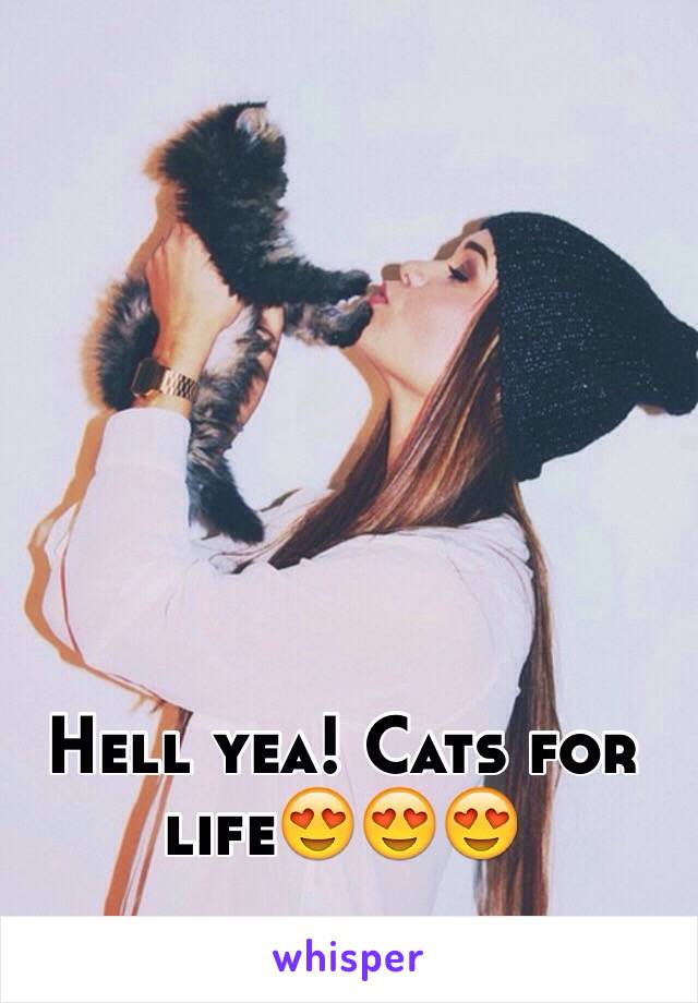 Hell yea! Cats for life😍😍😍