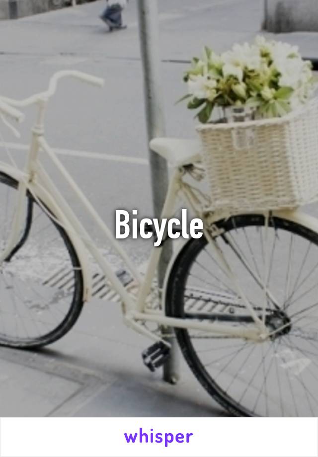 Bicycle