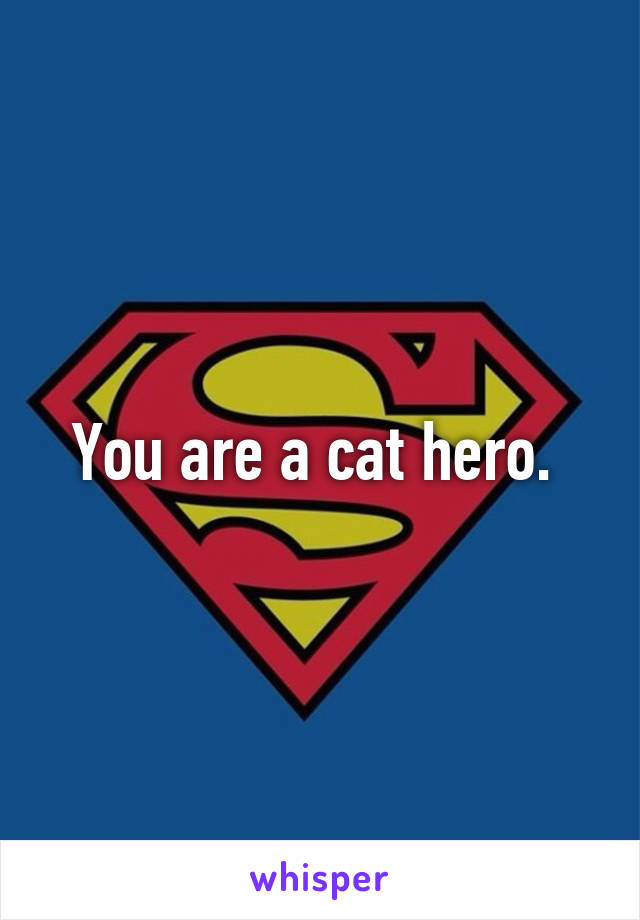 You are a cat hero. 