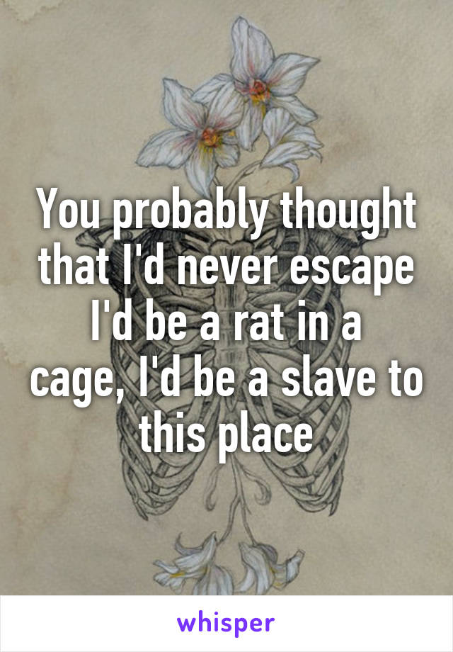 You probably thought that I'd never escape
I'd be a rat in a cage, I'd be a slave to this place