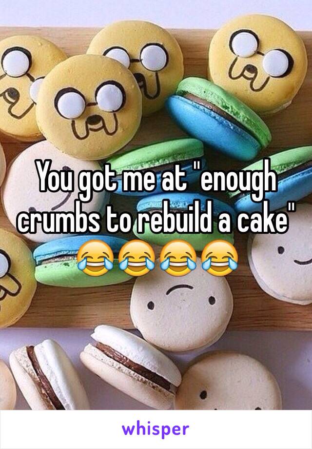 You got me at "enough crumbs to rebuild a cake" 😂😂😂😂