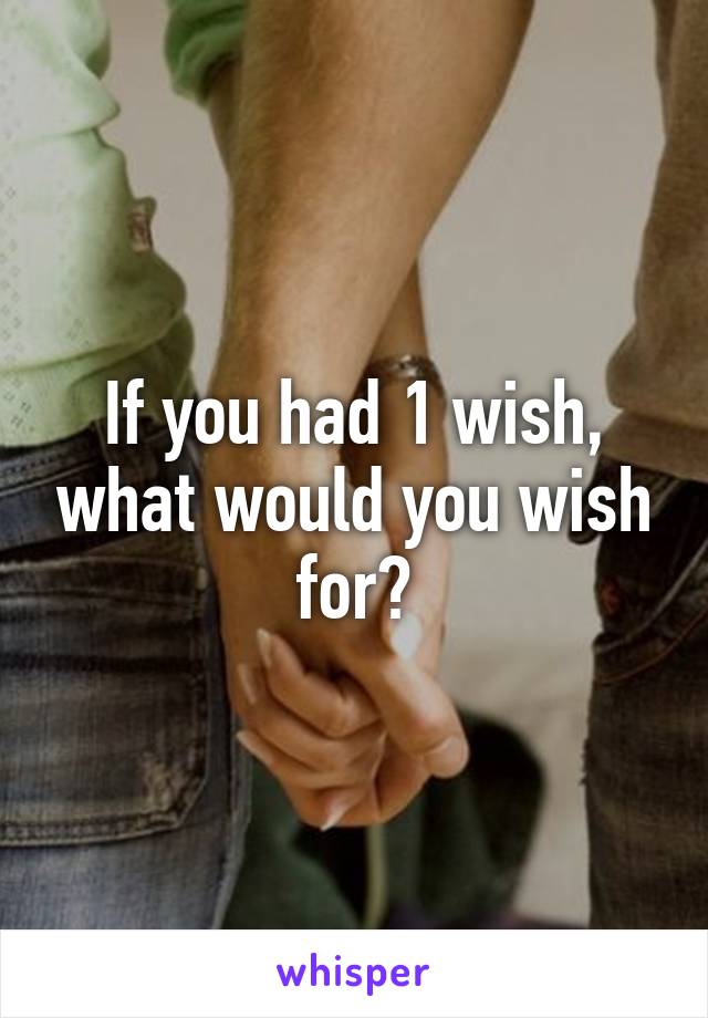 If you had 1 wish, what would you wish for?
